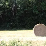 O Bout D'la Motte Voillecomte