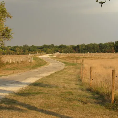 O Bout D'la Motte Voillecomte