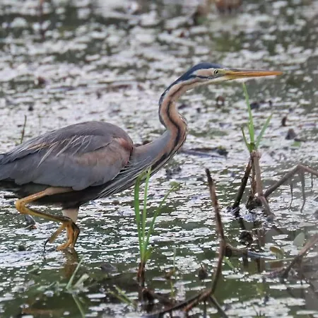 Δωμάτια σε οικογενειακή κατοικία O Bout D'la Motte