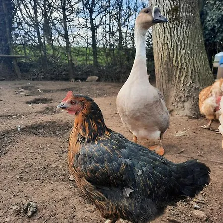 O Bout D'la Motte Δωμάτια σε οικογενειακή κατοικία Voillecomte