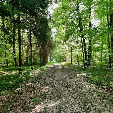 O Bout D'la Motte Δωμάτια σε οικογενειακή κατοικία Voillecomte