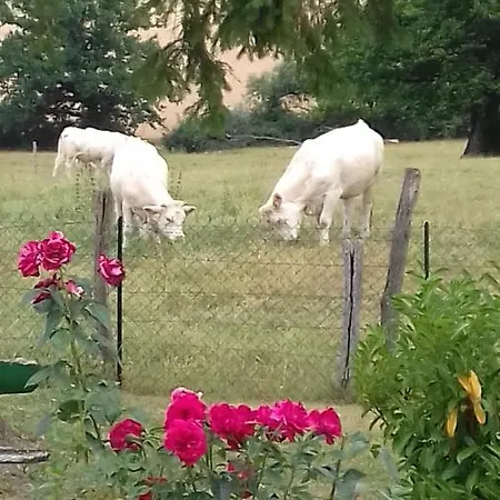 Δωμάτια σε οικογενειακή κατοικία O Bout D'la Motte Voillecomte