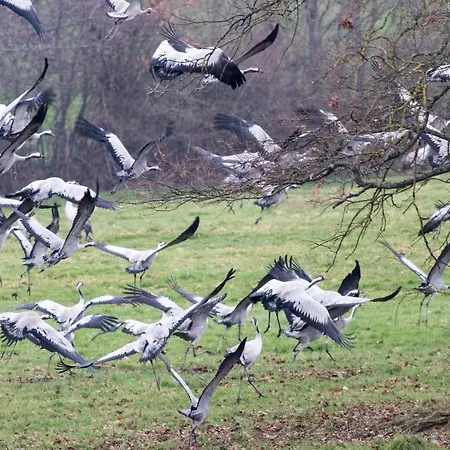 Homestay O Bout D'la Motte Voillecomte