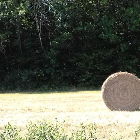 O Bout D'la Motte Voillecomte