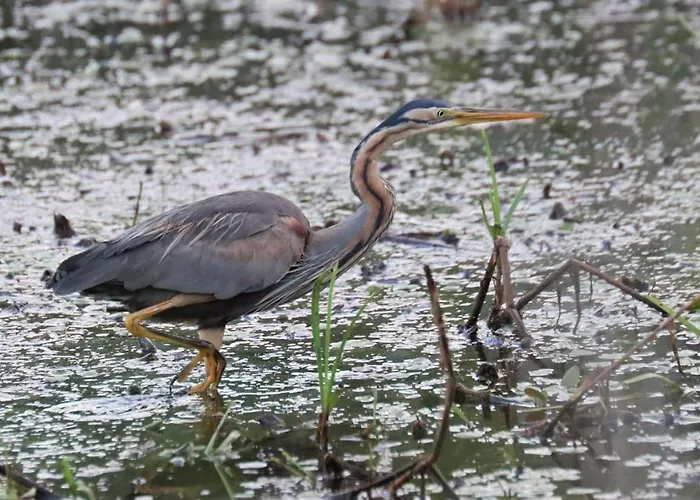 Privatunterkunft O Bout D'la Motte