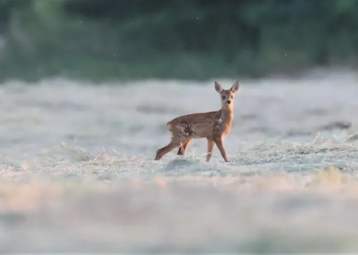 O Bout D'la Motte Privatunterkunft *