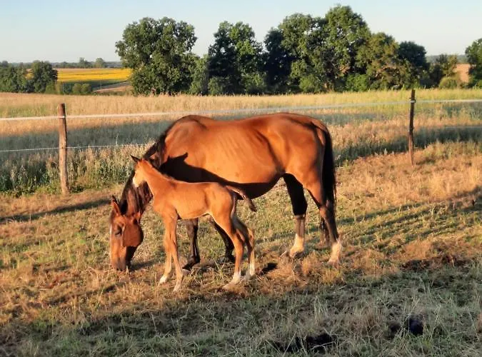 Privatunterkunft O Bout D'la Motte *