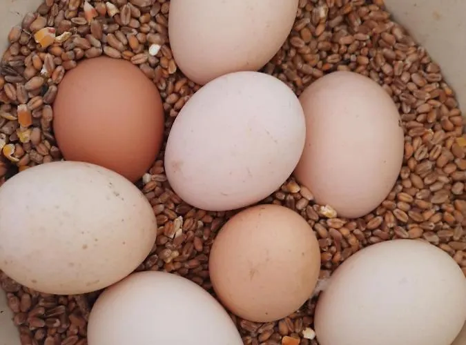 O Bout D'la Motte Privatunterkunft *