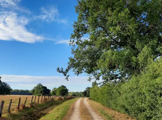 O Bout D'la Motte Privatunterkunft *