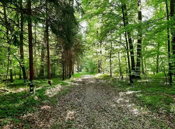 O Bout D'la Motte Privatunterkunft Voillecomte