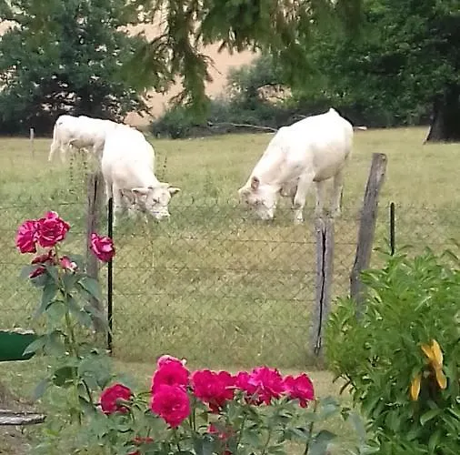 Privatunterkunft O Bout D'la Motte Voillecomte