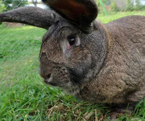 O Bout D'la Motte Privatunterkunft *