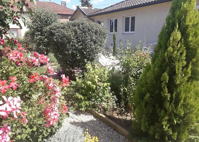 O Bout D'la Motte * Voillecomte