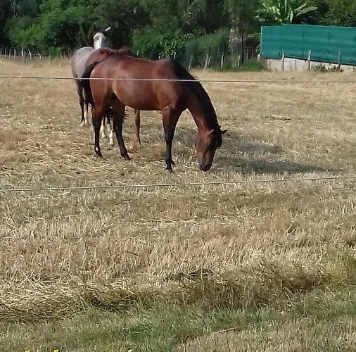 O Bout D'la Motte Privatunterkunft *