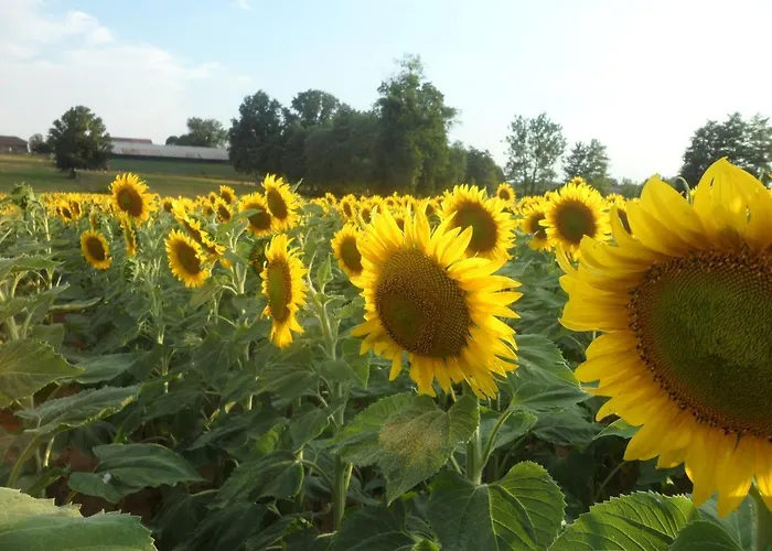 O Bout D'la Motte Privatunterkunft *